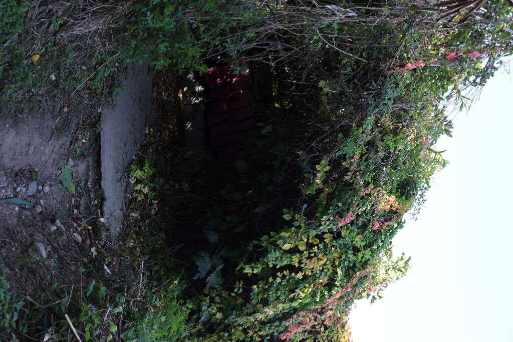 Foot path to Esparreguera through a green tunnel.