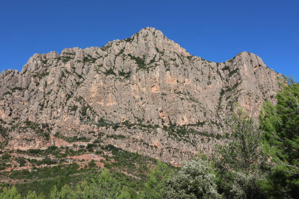 No, won't climb this.