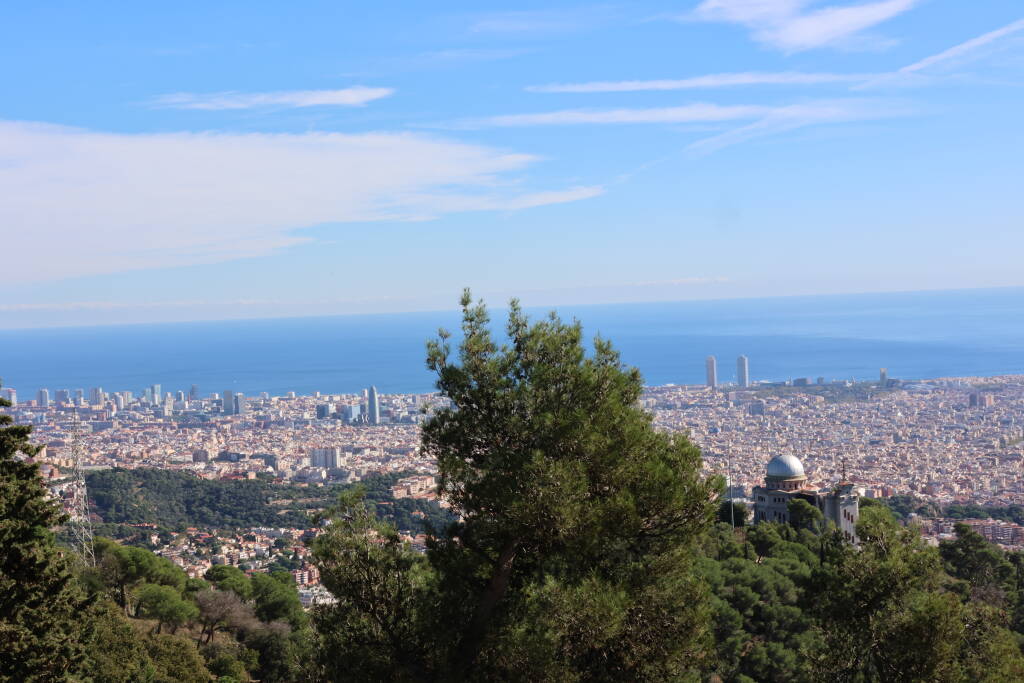 View of Barcelona. What is behind the tree?