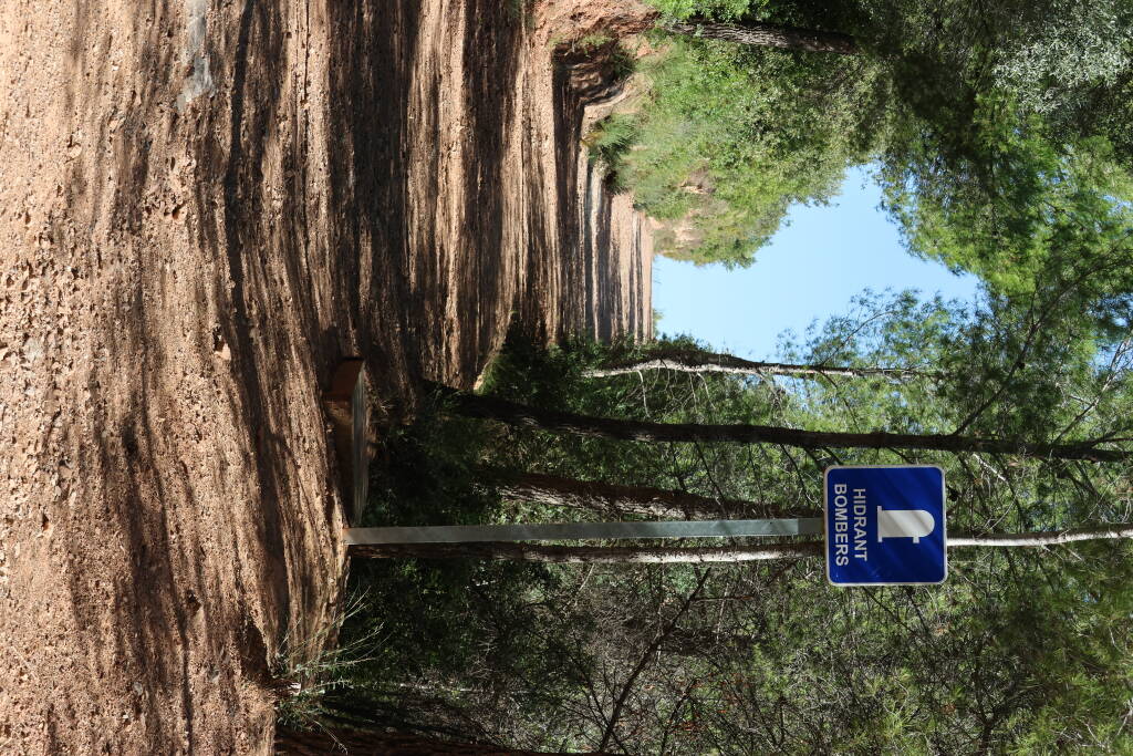 It looks like that a forest fire risk is high enough to put a fire hydrant here.