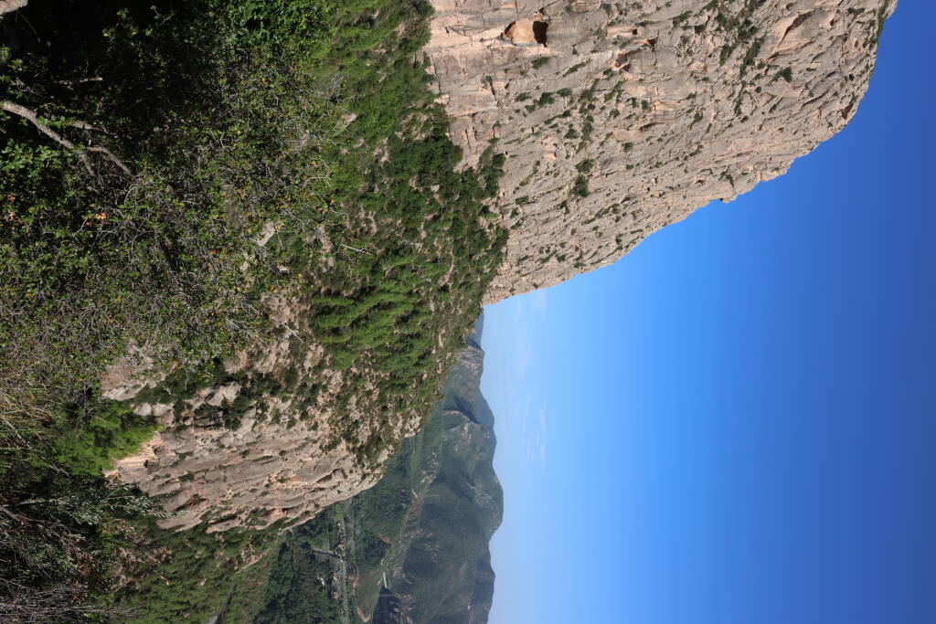 Views. And another strawberry tree.