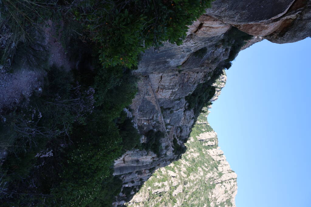 This climb awaits me.