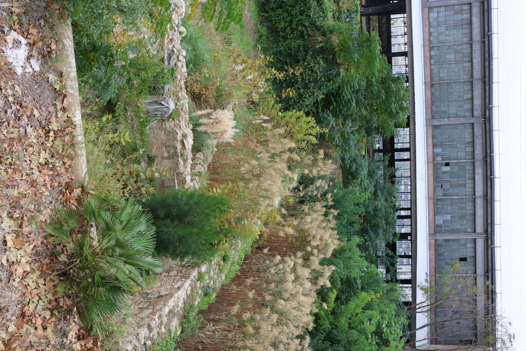 Parts of the station are rather disused and overgrown.