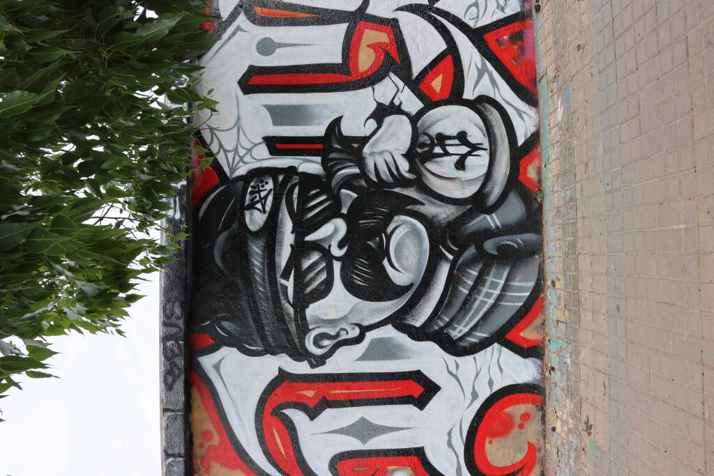 The whole wall just across de França station in Barcelona is well grafitied and I spent some time enjoying that art.