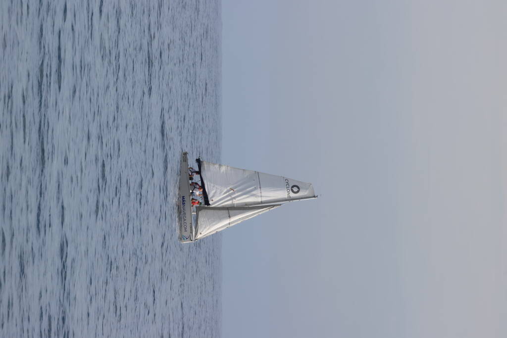 There were some sailboats on the sea.