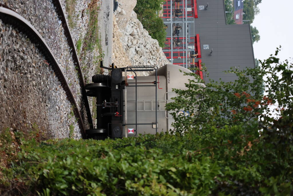 A sneaky freight car behind the bushes.