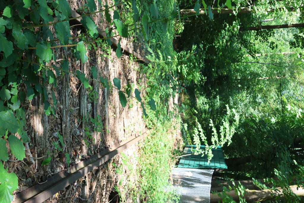 Only after passing an underground station and a hospital, there are some more pieces of track in the bushes.