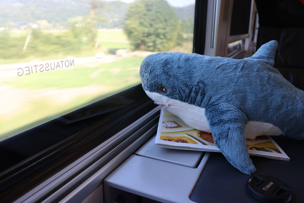 Smålhaj enjoys the views.