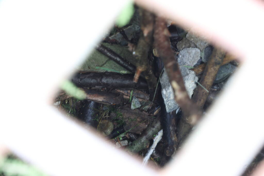 There are sticks and stones in the castle water well.