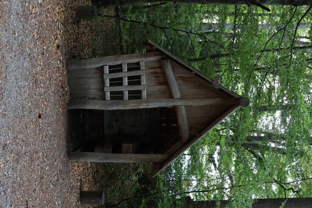 Little house, who lives in you? No mouse in there.