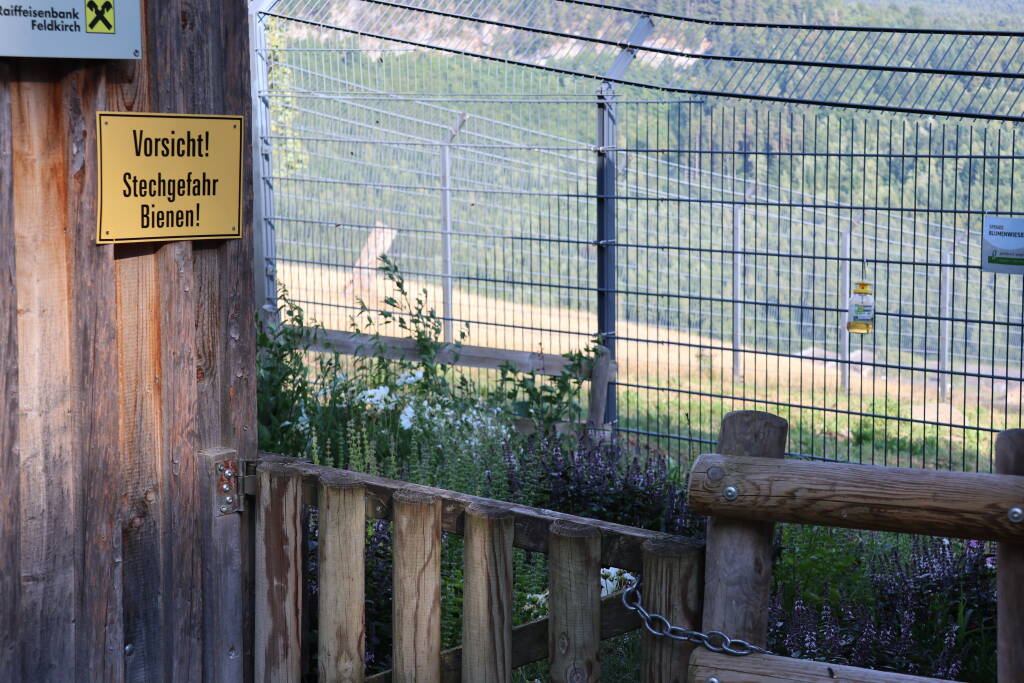Beware, danger of stinging.