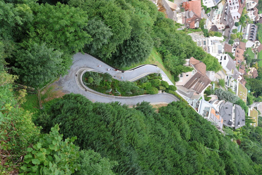 The path to the castle.