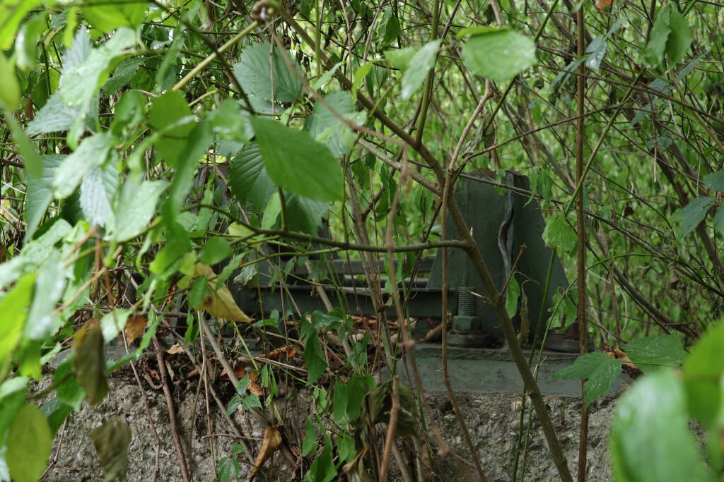 In the bush, there is also a catenary support foot.