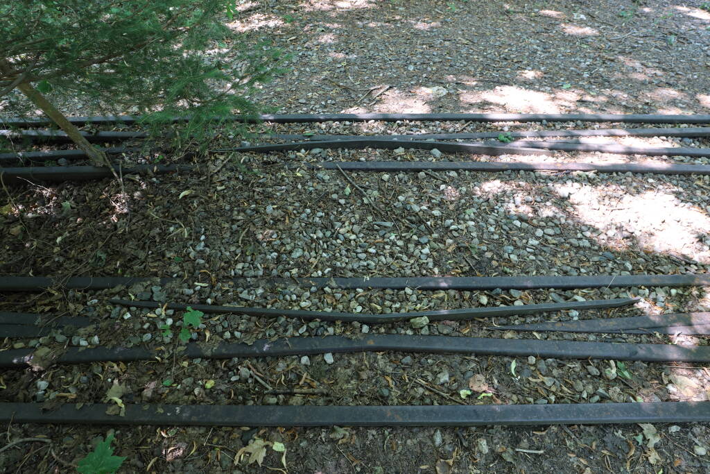 A crossing double slip switch is still complete in the bushes.