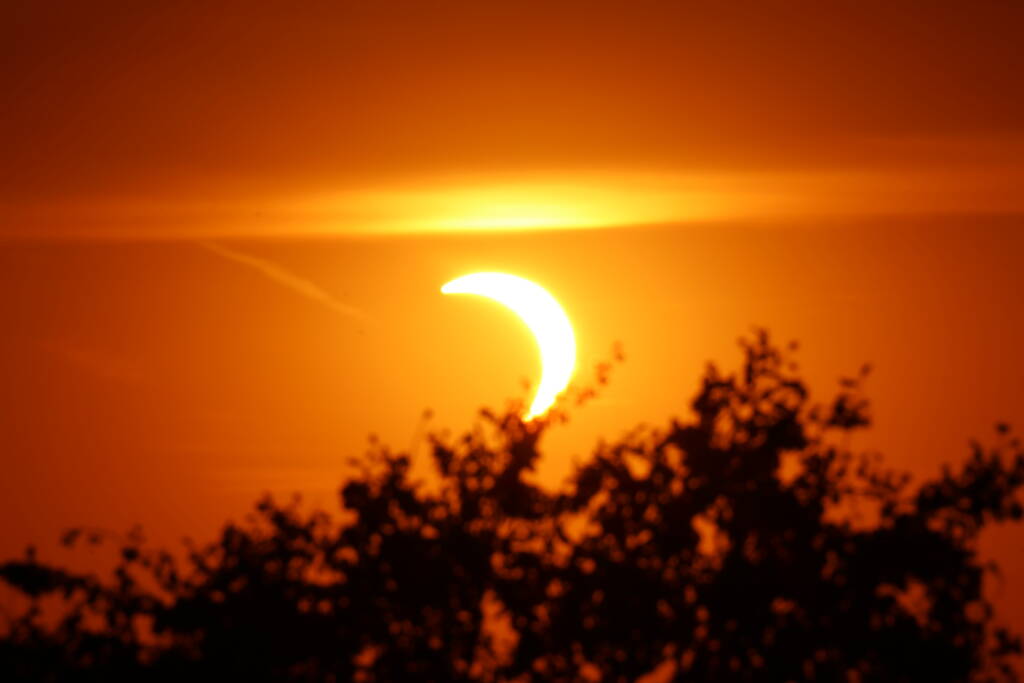 I was aiming, a friend was pushing the button. But it didn't take long and there was nothing to shoot anyway. The sun descended behind this tree as well.