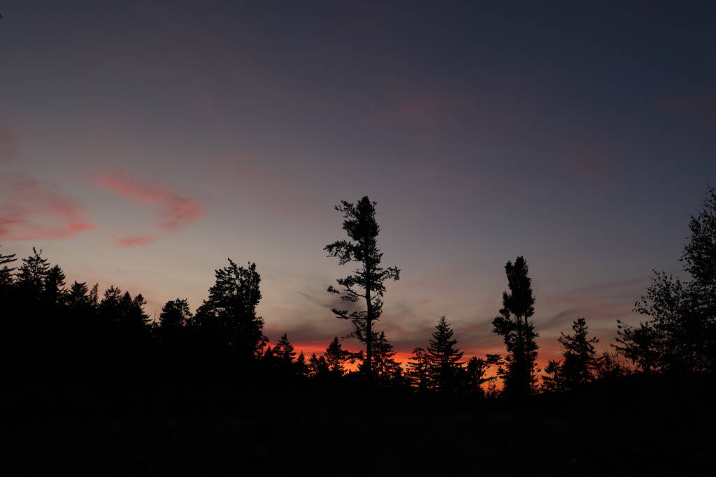 We had to run down quite fast though, to not get lost on the footpath. It was getting dark. Good night!