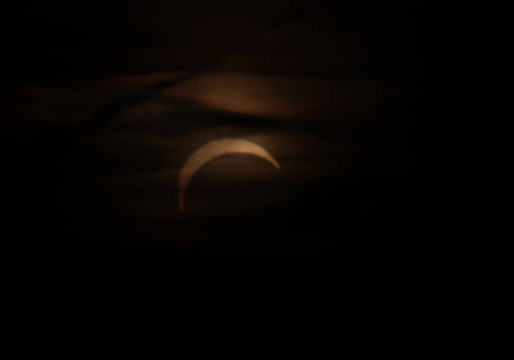 The eclipsed sun just before the maximum and just before hiding behind that tree.