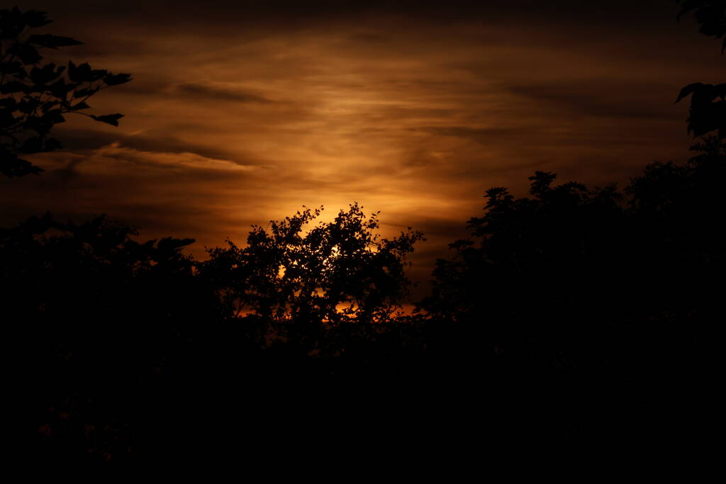 I went nearby where I surveyed a better spot before, but it wasn't much better.